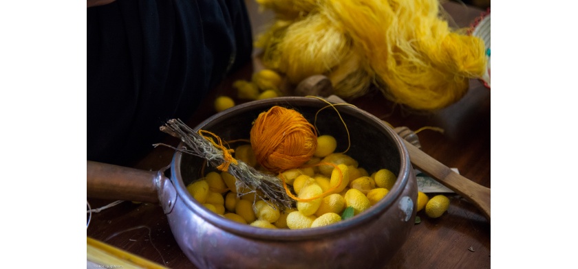 Autunno in Barbagia 2019