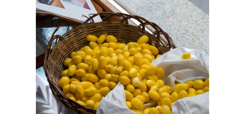 Orgosolo (foto Archivio Aspen - Luigi Manca)