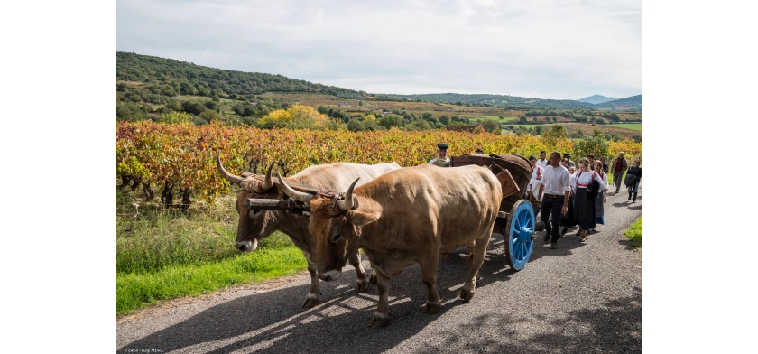 Sorgono, processione (Archivio Aspen - L. Manca)