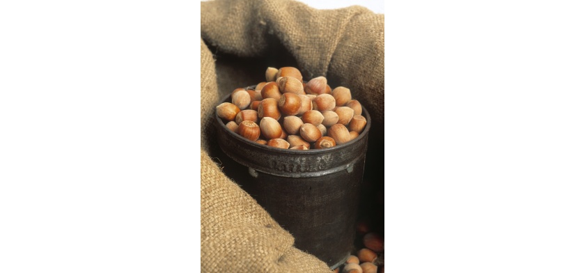 Aritzo, nocciole (foto Archivio Aspen, R. Brotzu)