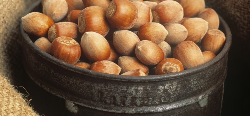 Aritzo, nocciole (foto Archivio Aspen, R. Brotzu)