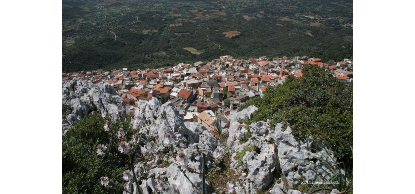 Baunei (Foto Archivio Aspen M.C. Folchetti)