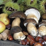Desulo, funghi e castagne (foto Archivio Aspen)