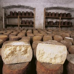 Gavoi, fiore sardo (foto Archivio Aspen, R. Brotzu)