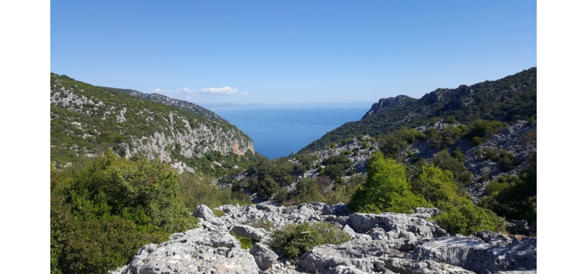 Golfo di Orosei (foto Archivio CCIAA Nuoro)