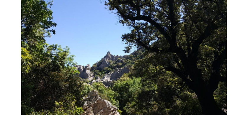 Paesaggio (foto Archivio CCIAA Nuoro)