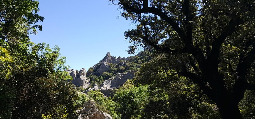 Paesaggio (foto Archivio CCIAA Nuoro)