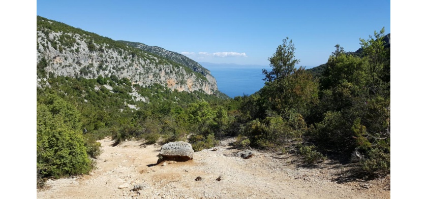 Sentiero per Cala Goloritzè (foto Archivio CCIAA Nuoro)