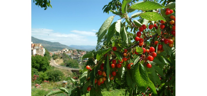 Foto Archivio Aspen - R. Brotzu