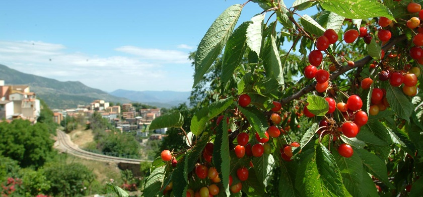 Foto Archivio Aspen - R. Brotzu