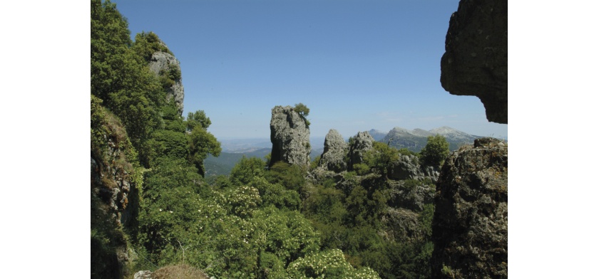 Orgosolo, Monte Novo San Giovanni (foto Archivio Aspen - R. Brotzu)