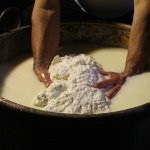 Ovodda, produzione del formaggio (foto Archivio Aspen, MC. Folchetti)