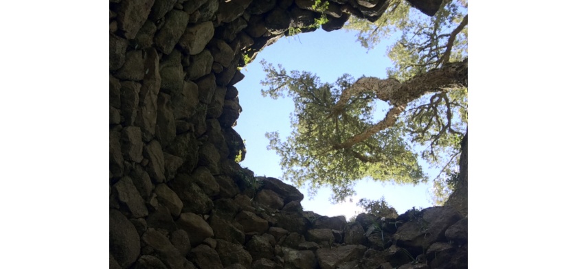 Bitti, Romanzesu (foto Archivio CCIAA Nuoro, C. Scaglione)