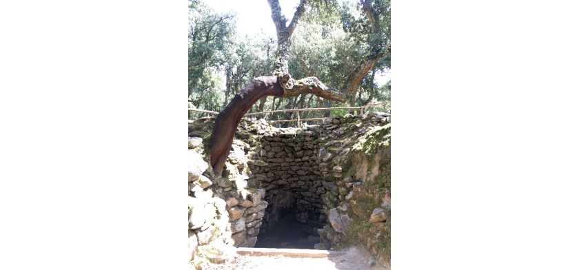 Bitti, Romanzesu (foto Archivio CCIAA Nuoro, C. Scaglione)