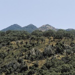 Sarule, paesaggio (foto Archivio Aspen R.Brotzu)