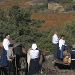 Sorgono, vendemmia (foto Archivio Aspen)