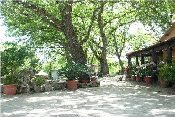 Agriturismo Fattoria Didattica Carale di Fadda Bruno