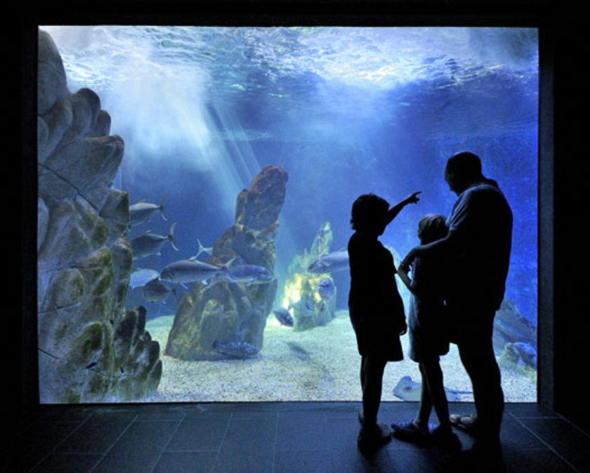 Panaque Srl presso Acquario di Cala Gonone
