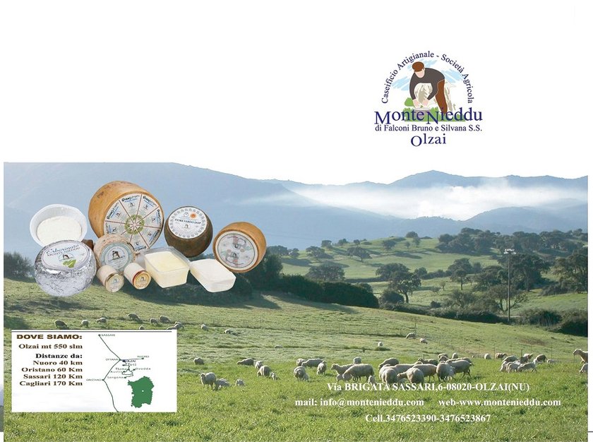 SOCIETA' AGRICOLA MONTENIEDDU DI FALCONI BRUNO E SILVANA S. S.
