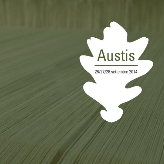 Vai al documento: Austis