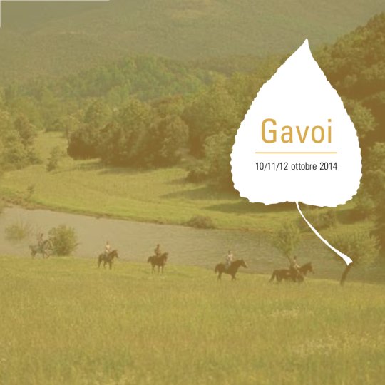 Vai al documento: Gavoi