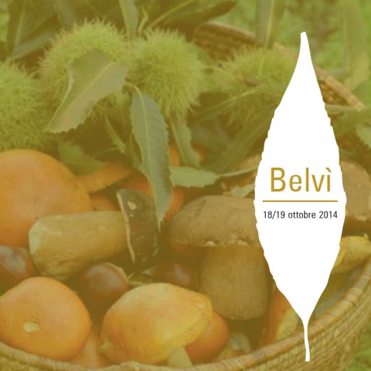 Vai al documento: Belvì