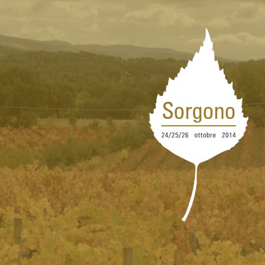 Vai al documento: Sorgono