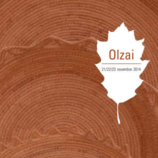 Vai al documento: Olzai