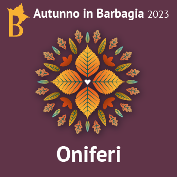 Vai al documento: Mappa del paese