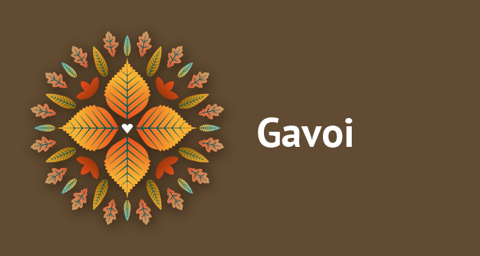 Visualizza il contenuto: Gavoi | Autunno in Barbagia 2023