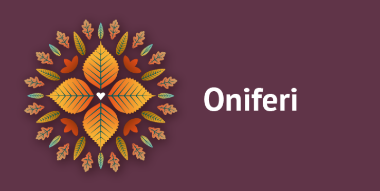 Visualizza il contenuto: Oniferi | Autunno in Barbagia 2023