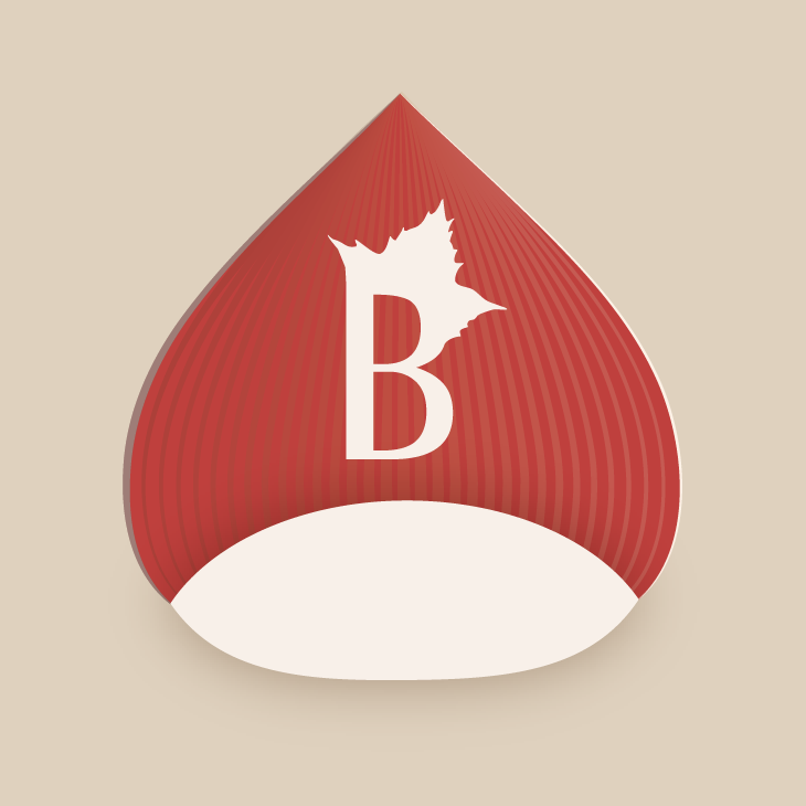 Belvì
