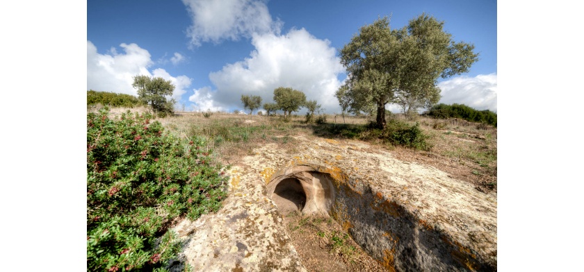 Autunno in Barbagia 2019