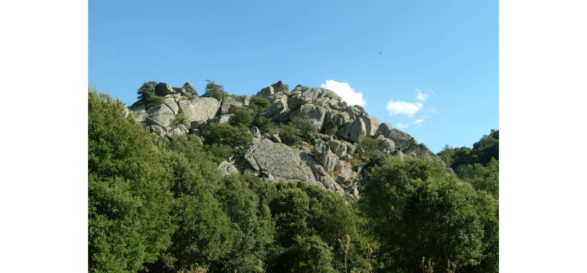 Ollolai, Monte di San Basilio (Foto Archivio Aspen - R. Brotzu)