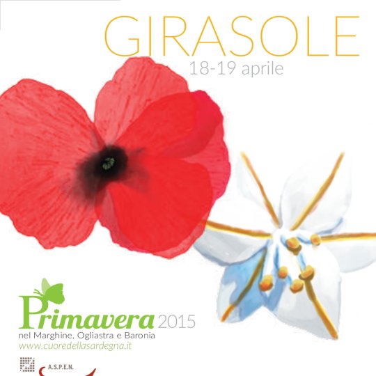 Vai al documento: Girasole