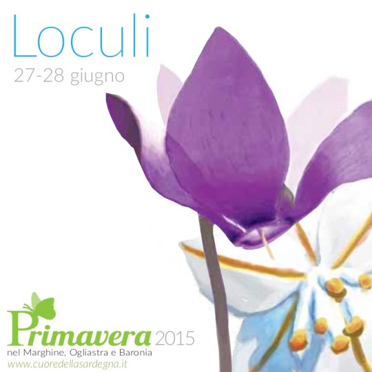 Vai al documento: Loculi