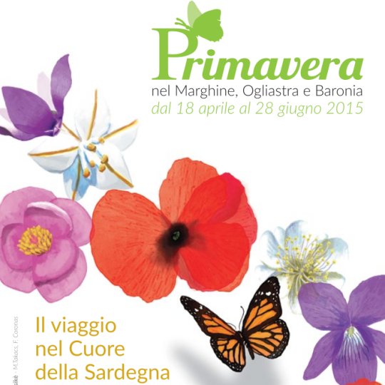 Vai al documento: Primavera 2015