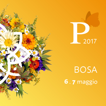 Vai al documento: Bosa