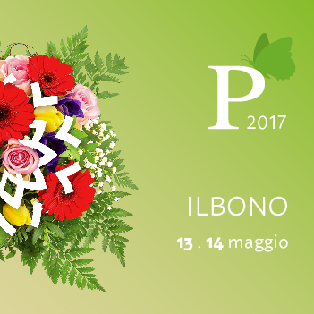 Vai al documento: Ilbono