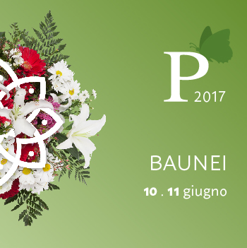 Vai al documento: Baunei
