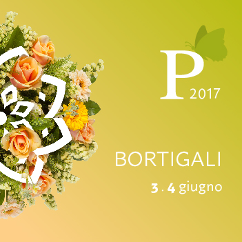 Vai al documento: Bortigali