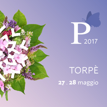 Vai al documento: Torpè