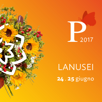 Vai al documento: Lanusei