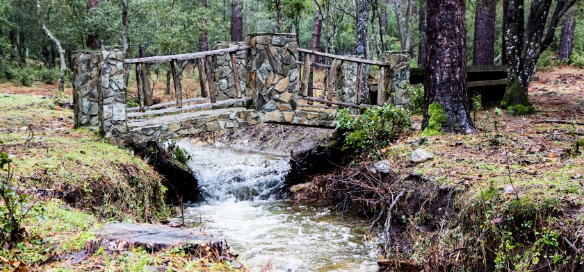 Foto Comune di Gairo, H. Seal