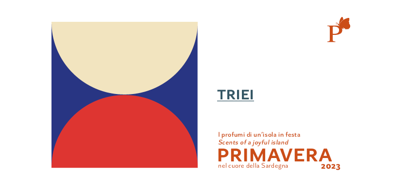 Foto Comune di Girasole