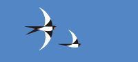 Triei