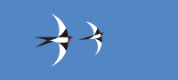 Irgoli