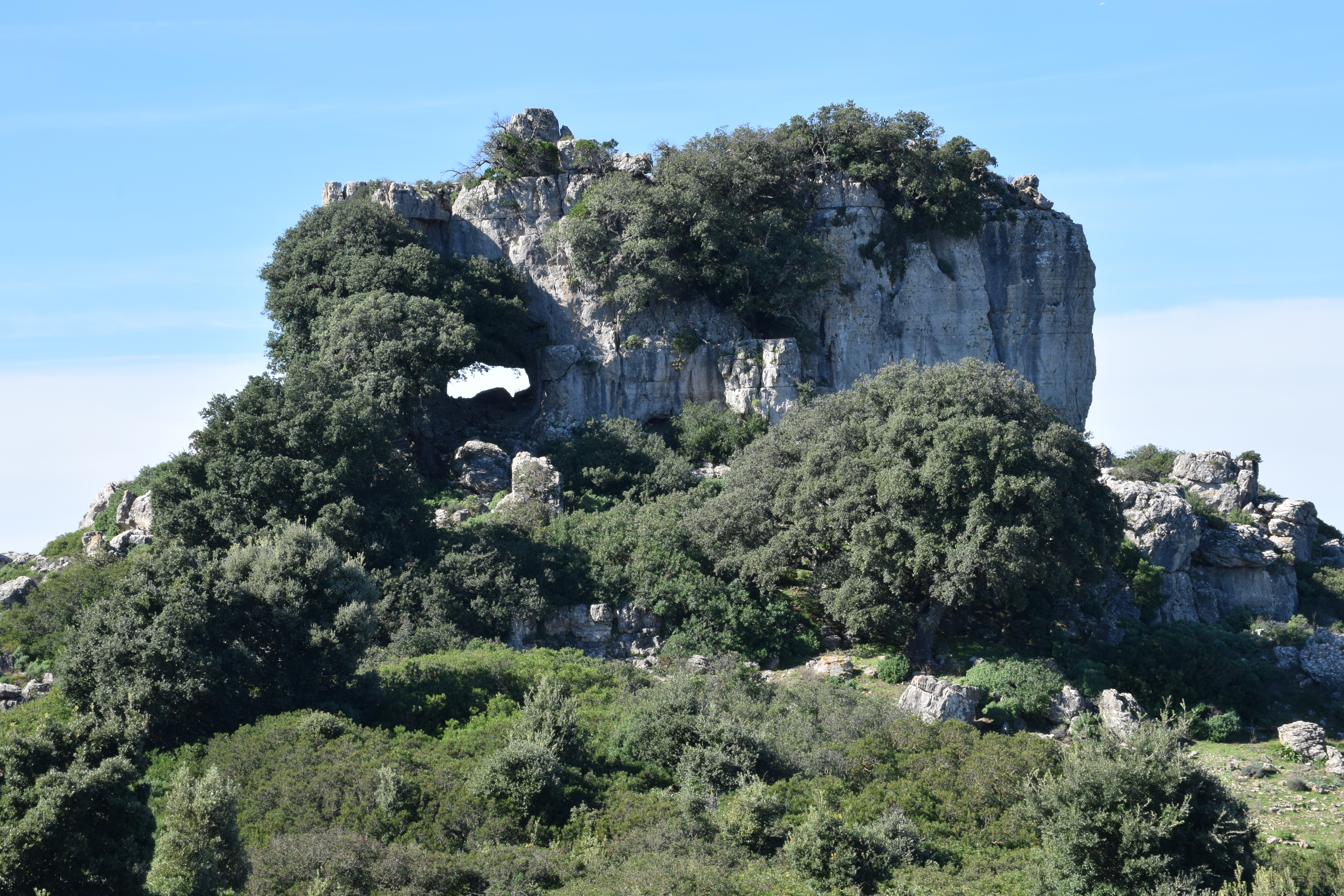 Visualizza il contenuto: Primavera nel cuore della Sardegna: Tertenia 18 e 19 Maggio